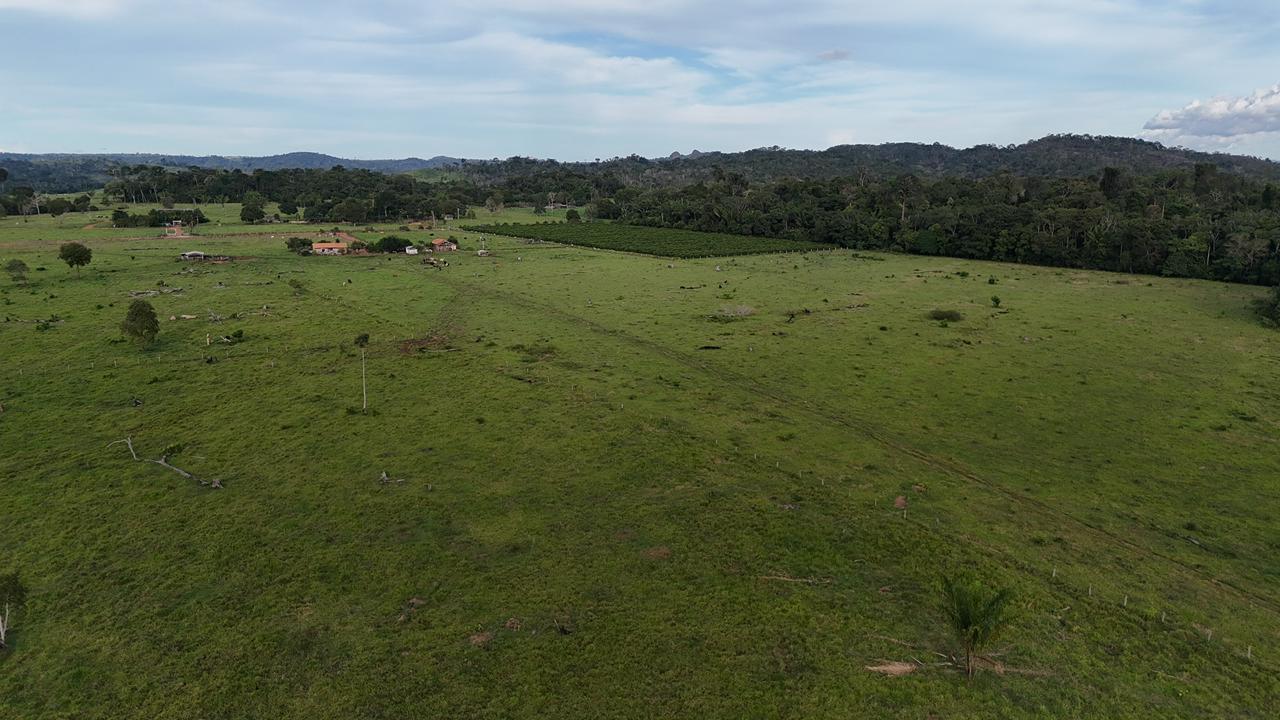 WhatsApp Image 2026-02-17 at 16.49.13 (4)