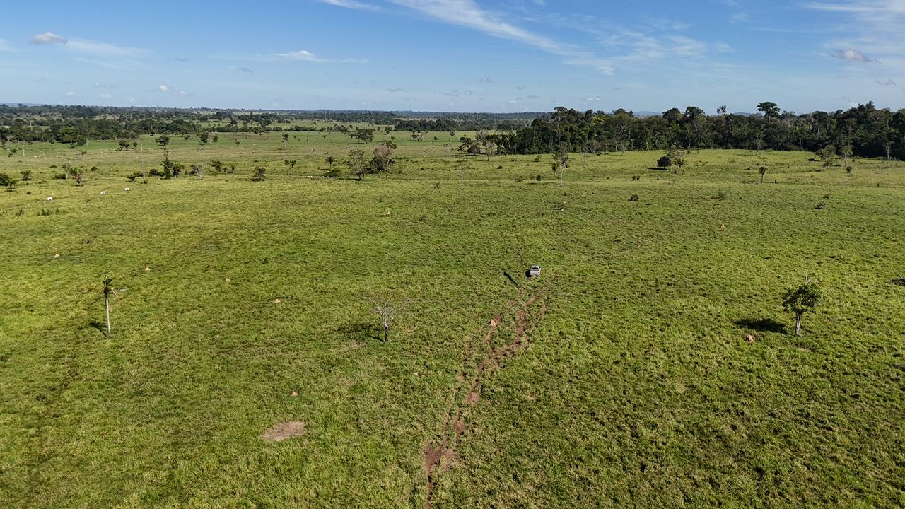 WhatsApp Image 2026-02-17 at 16.49.14 (1)