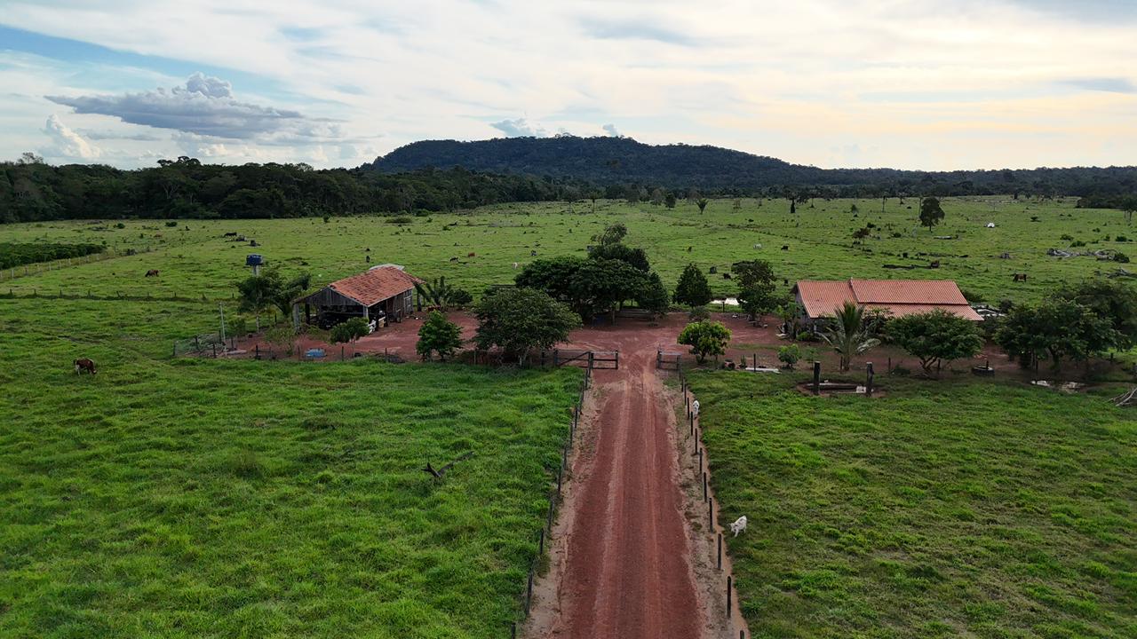 WhatsApp Image 2026-02-17 at 16.49.14 (2)