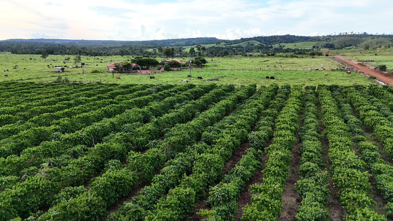 WhatsApp Image 2026-02-17 at 16.49.14