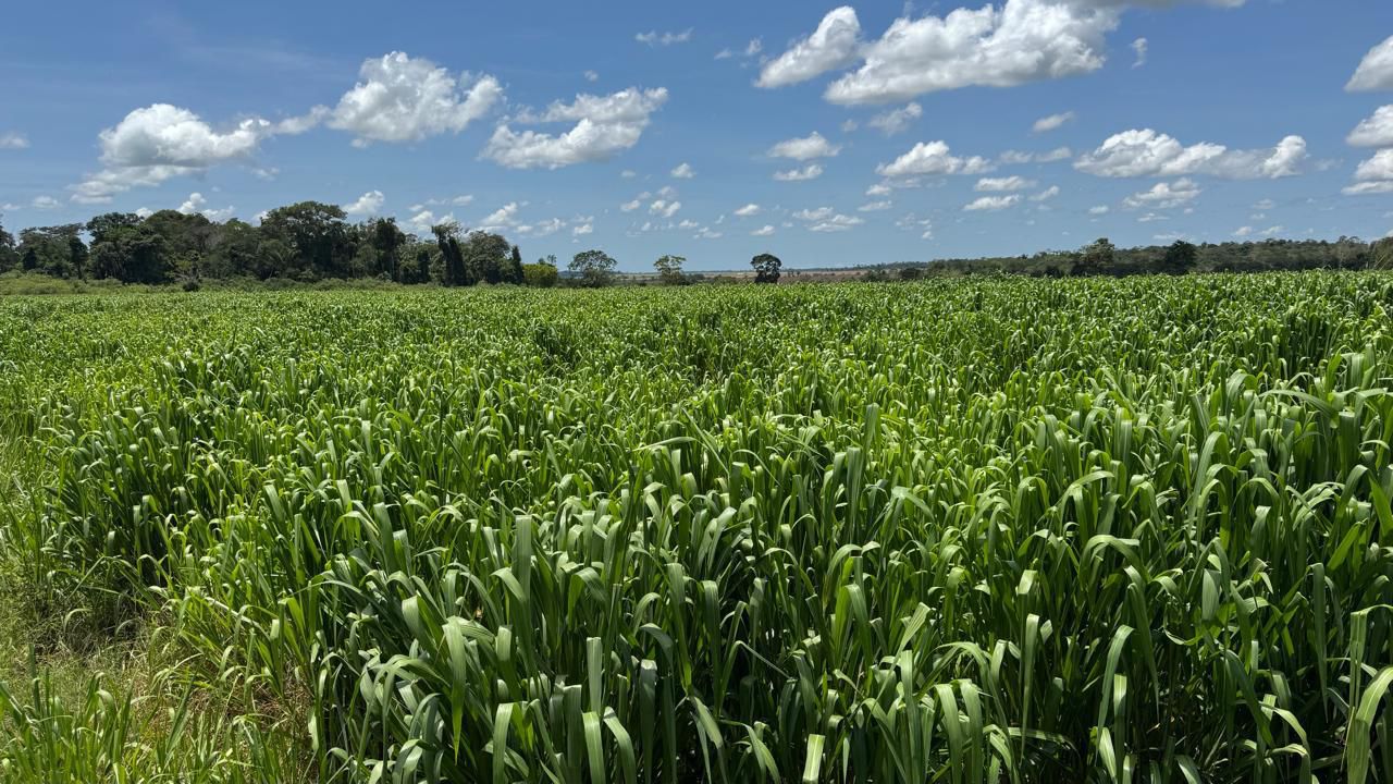 WhatsApp Image 2026-02-17 at 16.56.06 (1)