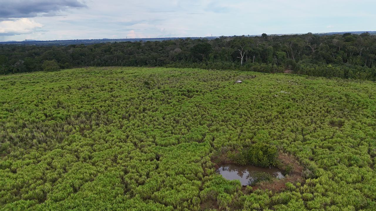 WhatsApp Image 2026-02-17 at 16.56.06 (2)