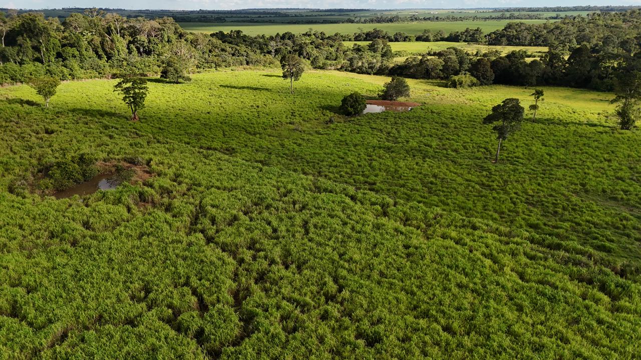 WhatsApp Image 2026-02-17 at 16.56.06 (3)