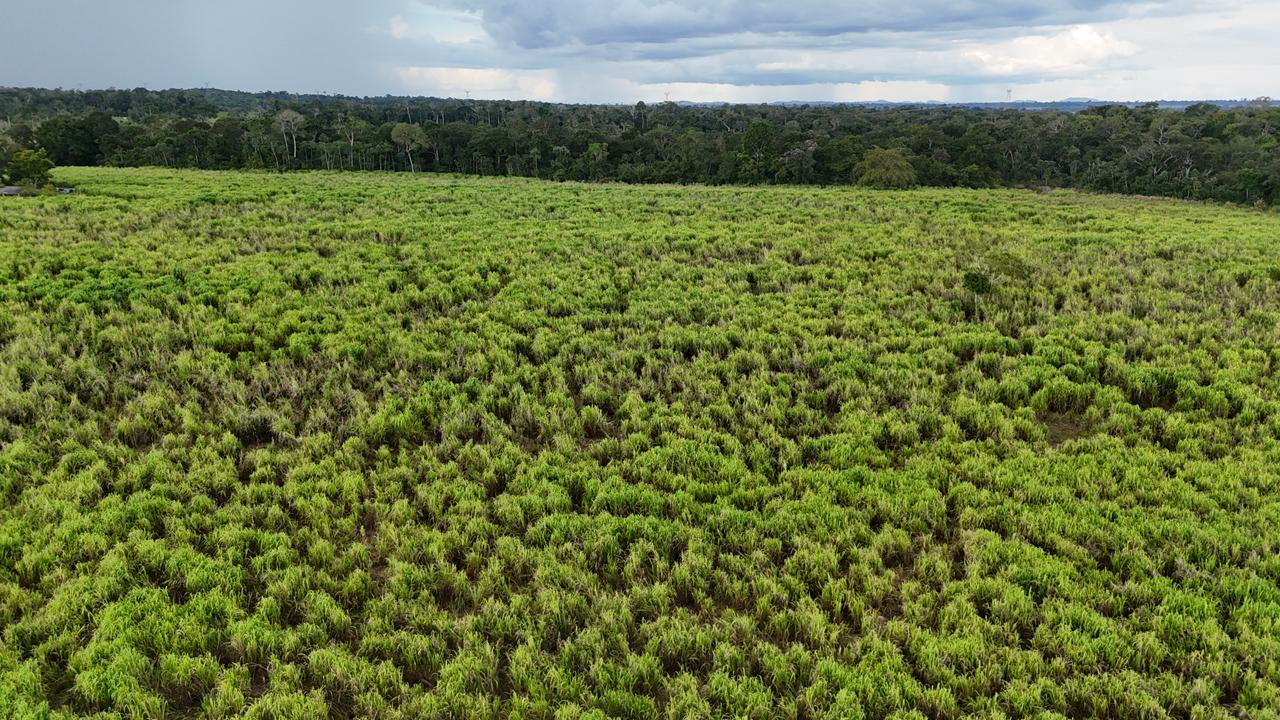 WhatsApp Image 2026-02-17 at 16.56.06