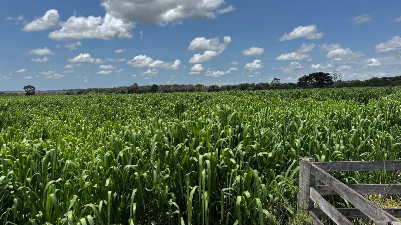 WhatsApp Image 2026-02-17 at 16.56.07 (1)