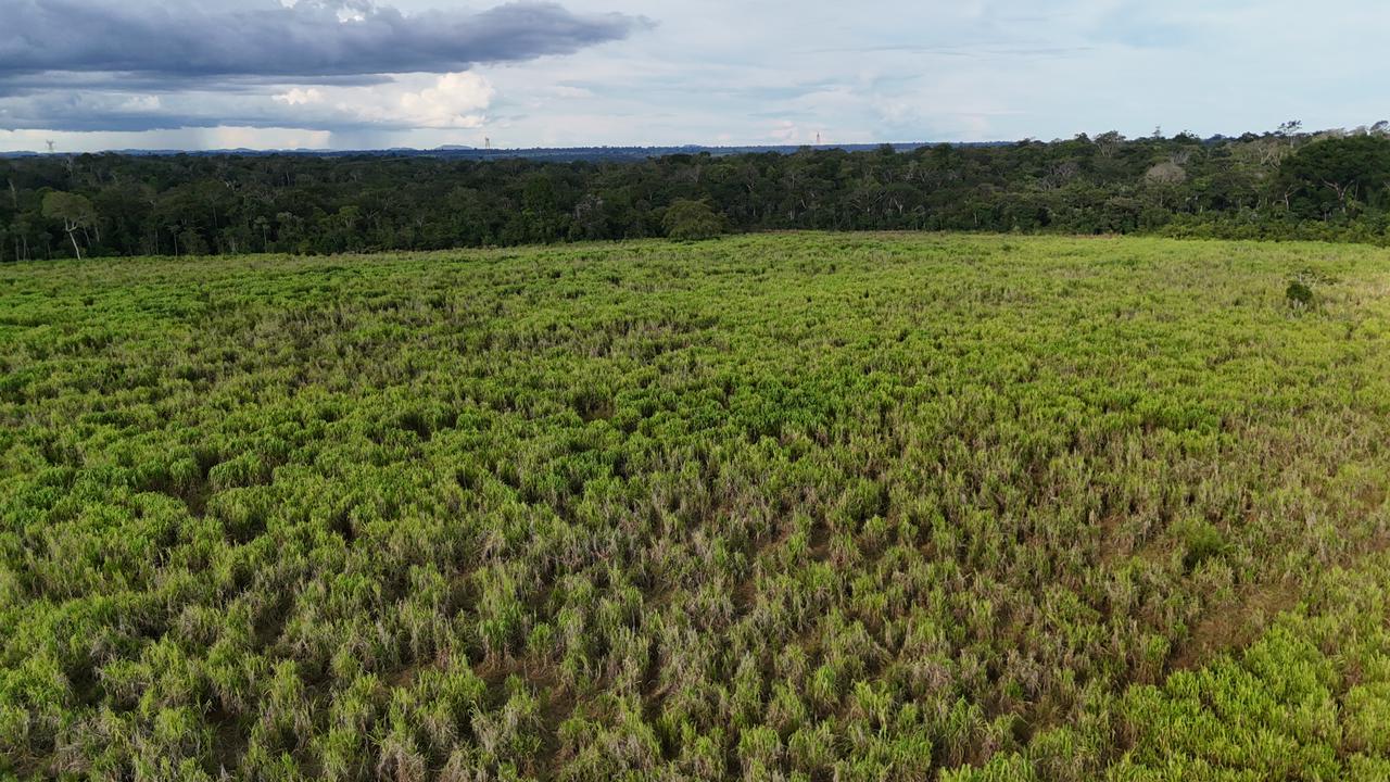 WhatsApp Image 2026-02-17 at 16.56.07 (2)