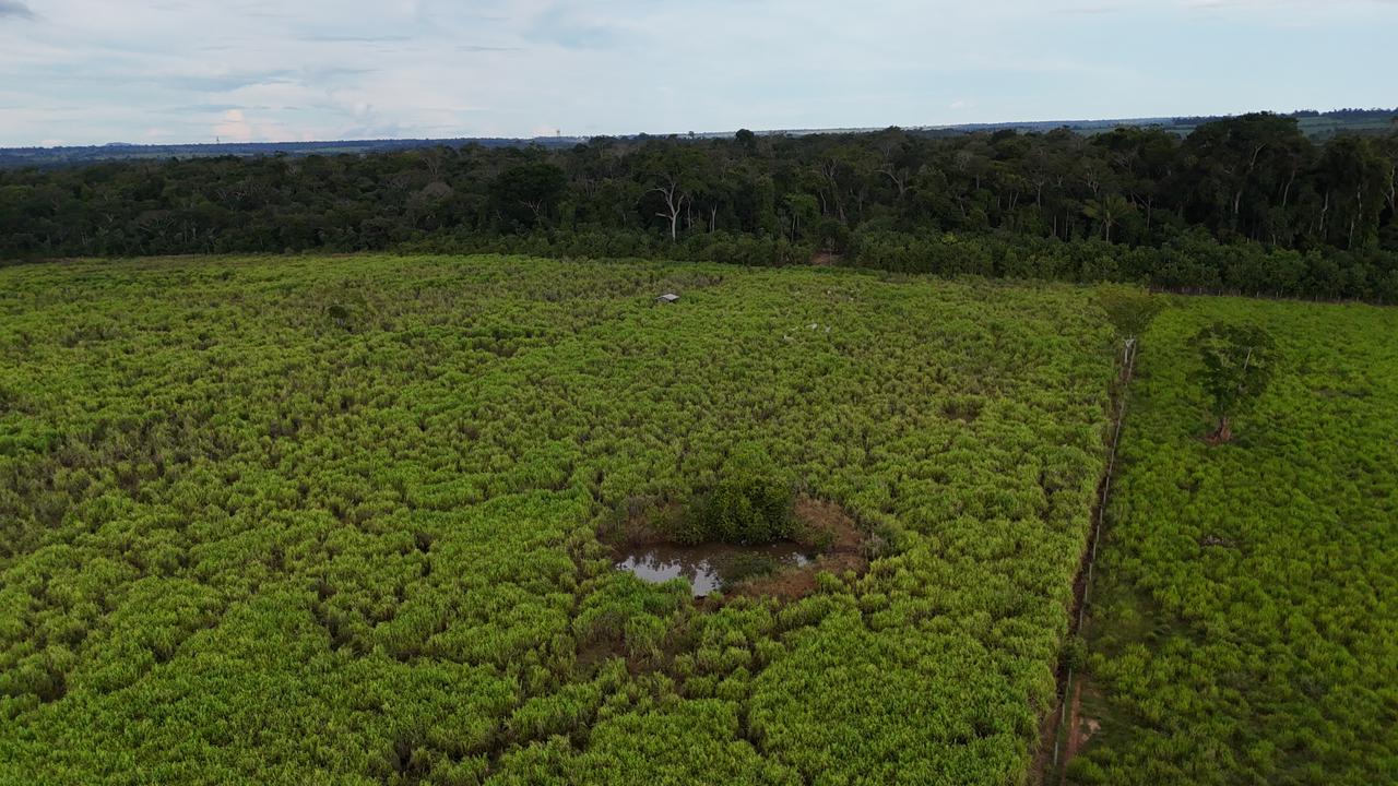 WhatsApp Image 2026-02-17 at 16.56.07 (3)