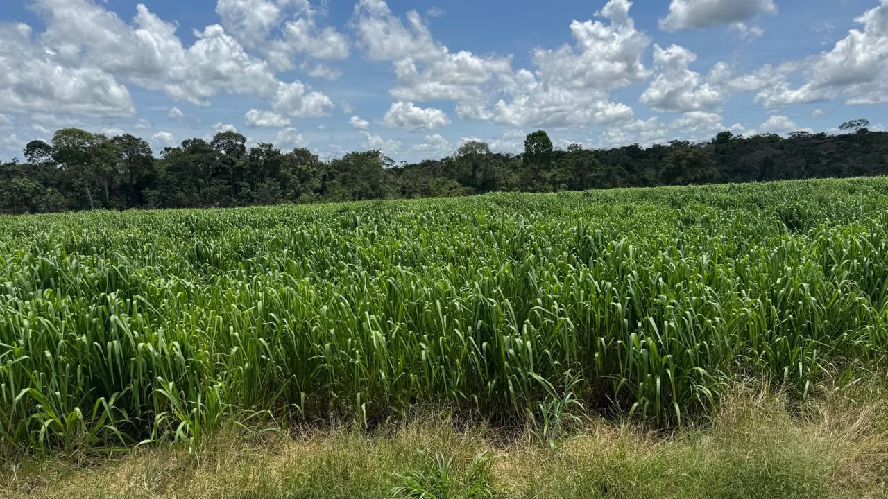 WhatsApp Image 2026-02-17 at 16.56.07 (4)