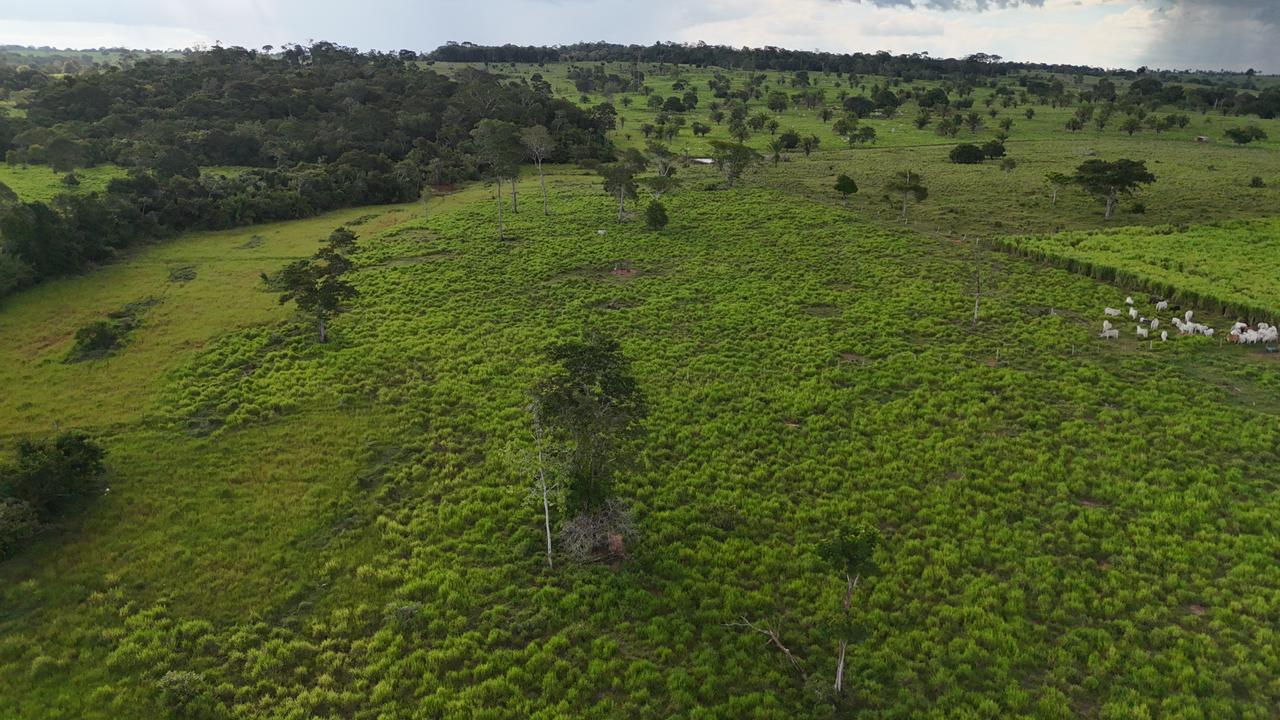 WhatsApp Image 2026-02-17 at 16.56.07