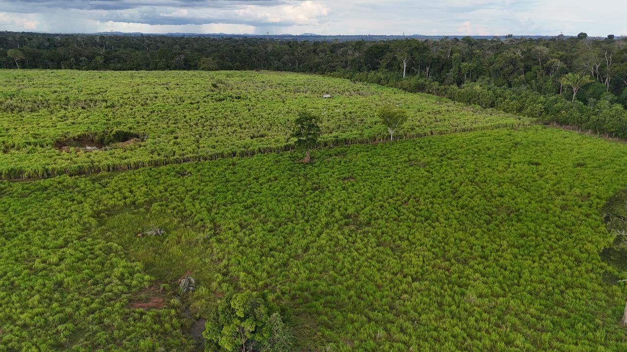 WhatsApp Image 2026-02-17 at 16.56.08 (1)