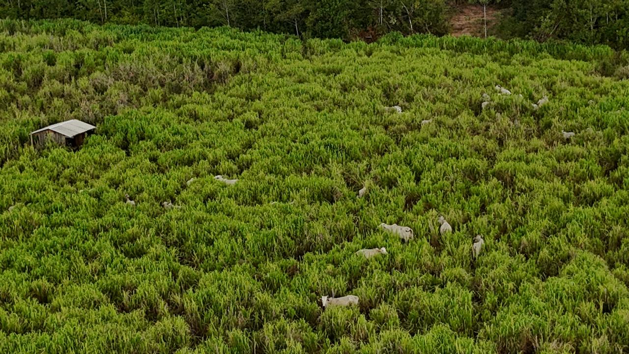 WhatsApp Image 2026-02-17 at 16.56.08 (2)