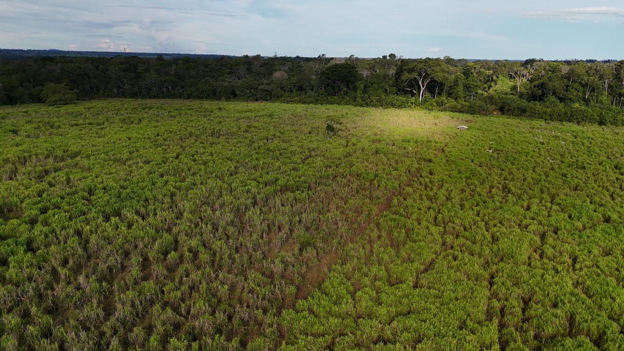 WhatsApp Image 2026-02-17 at 16.56.08