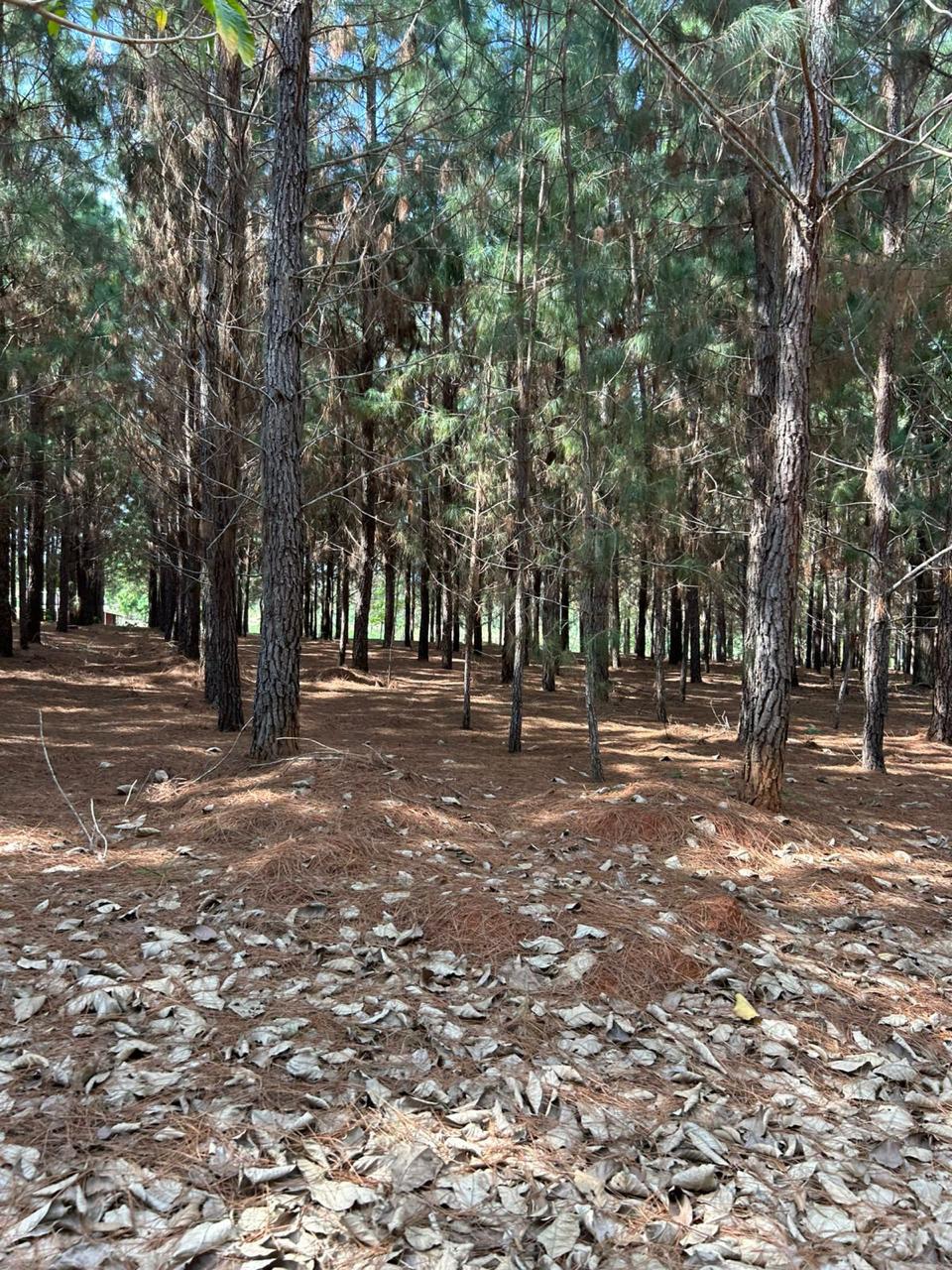 WhatsApp Image 2026-02-17 at 17.07.02 (1)