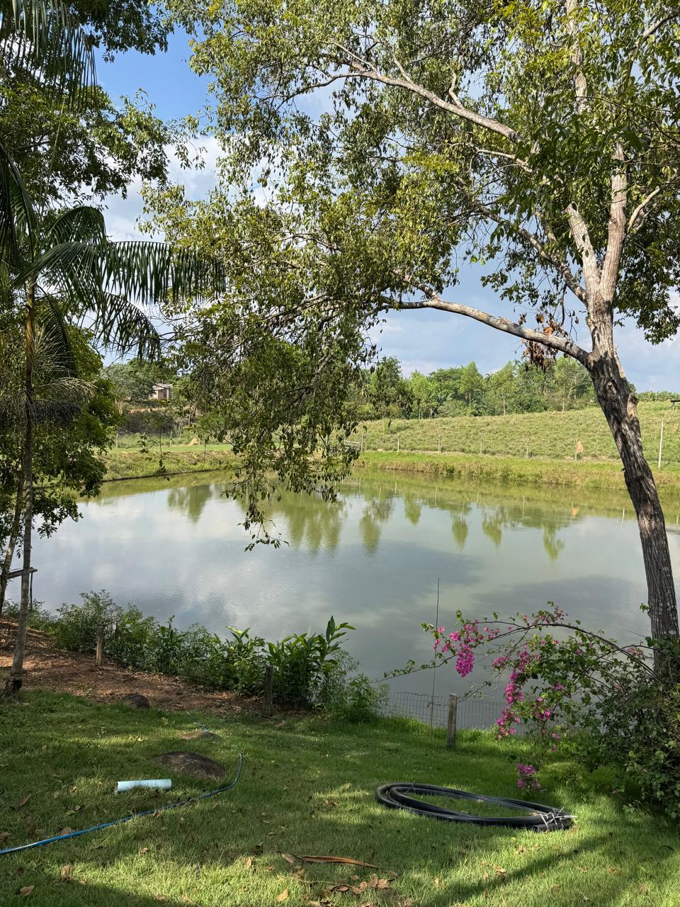 WhatsApp Image 2026-02-17 at 17.07.02 (2)