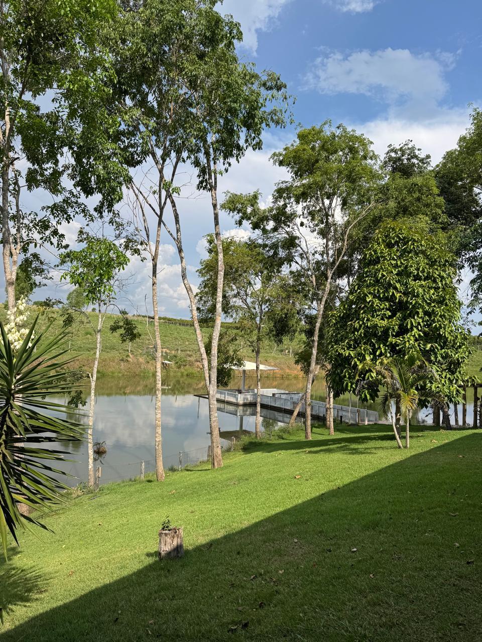 WhatsApp Image 2026-02-17 at 17.07.02 (3)