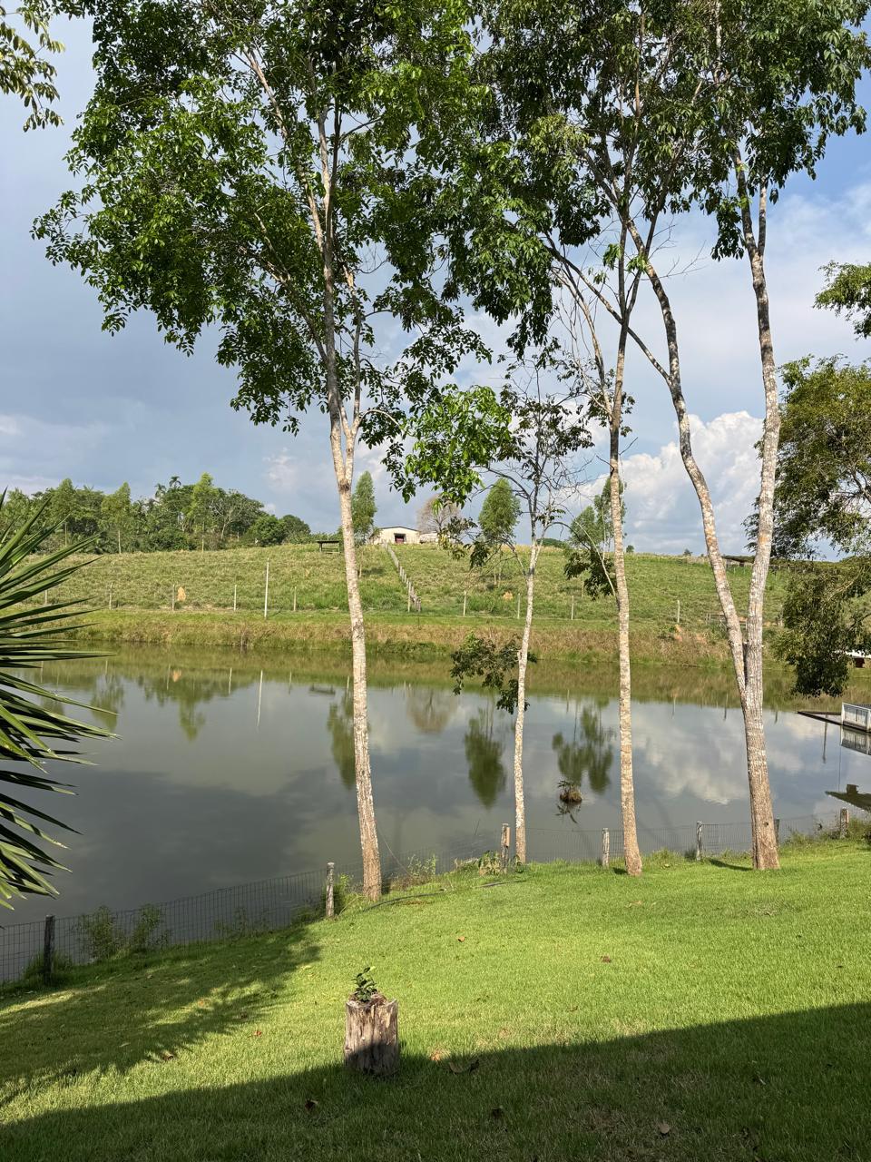 WhatsApp Image 2026-02-17 at 17.07.02 (4)