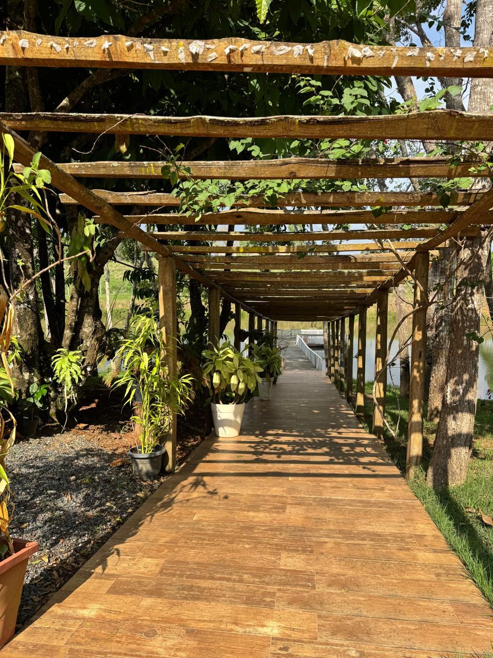 WhatsApp Image 2026-02-17 at 17.07.03 (3)