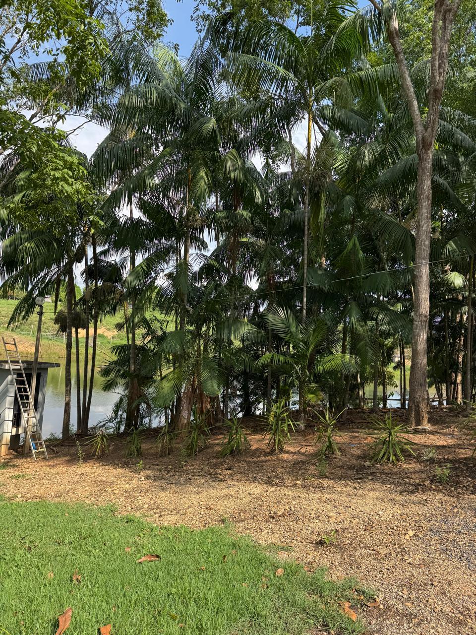 WhatsApp Image 2026-02-17 at 17.07.03 (4)