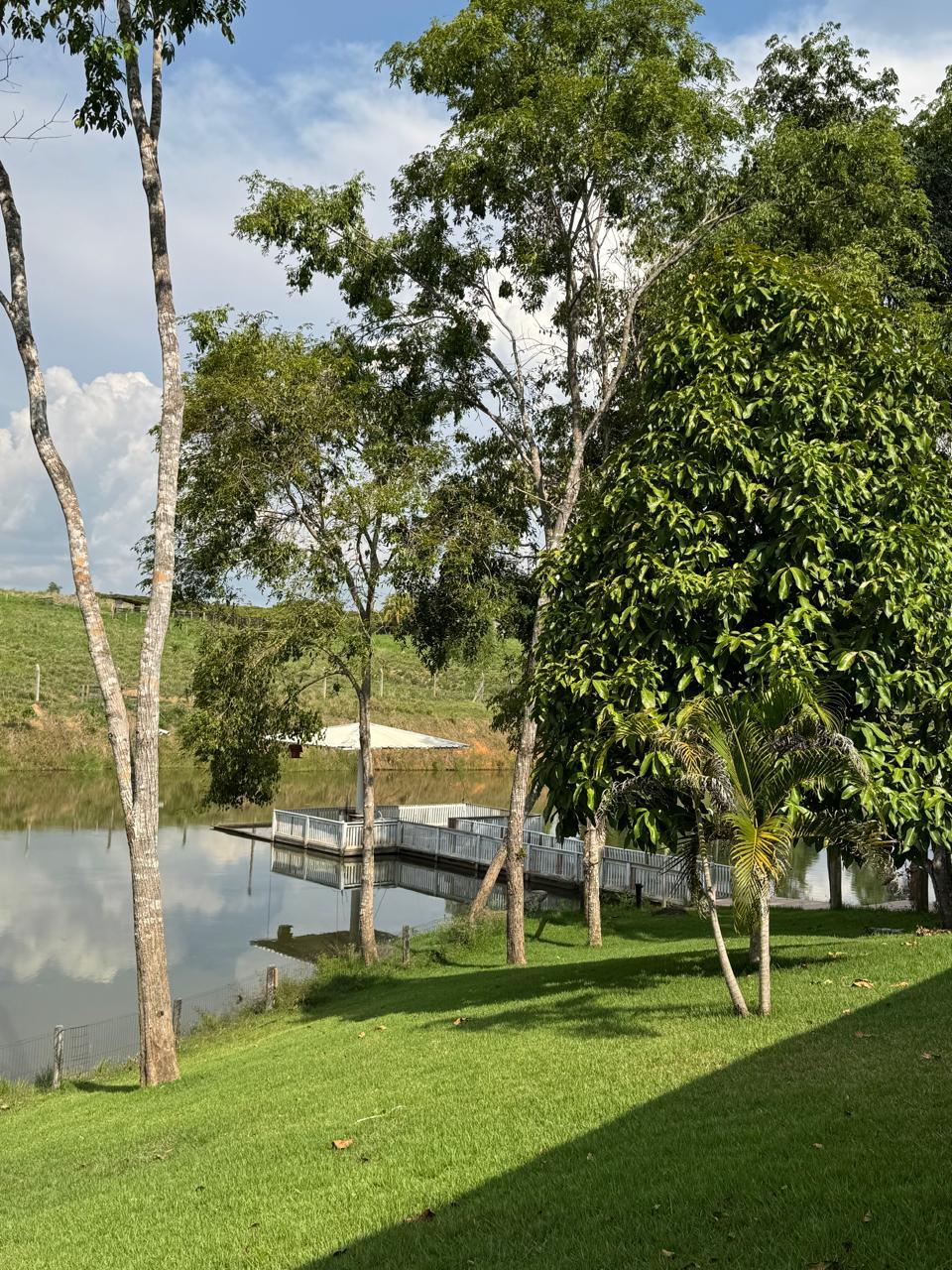 WhatsApp Image 2026-02-17 at 17.07.03