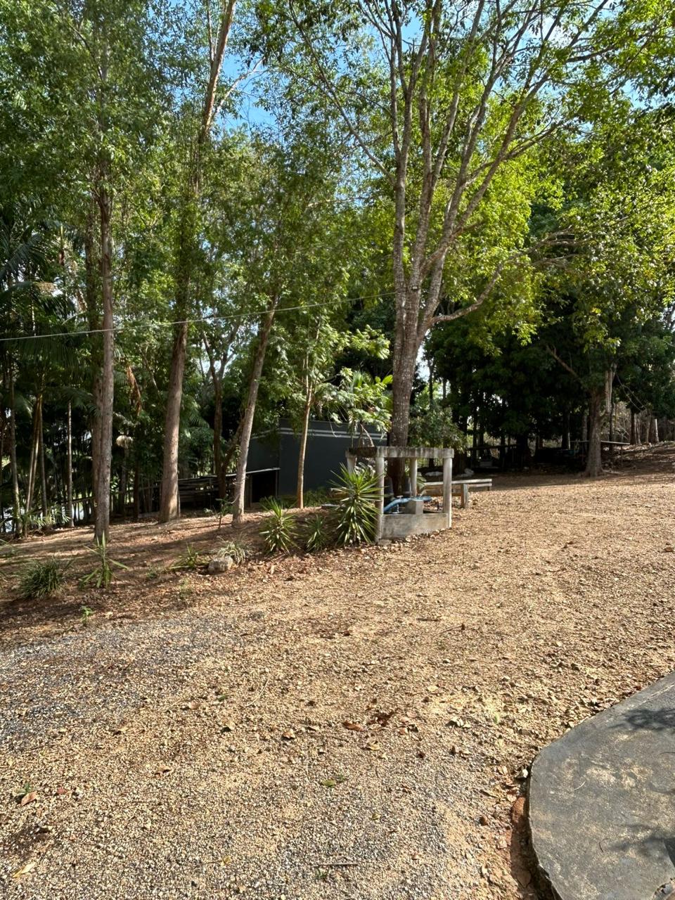 WhatsApp Image 2026-02-17 at 17.07.05