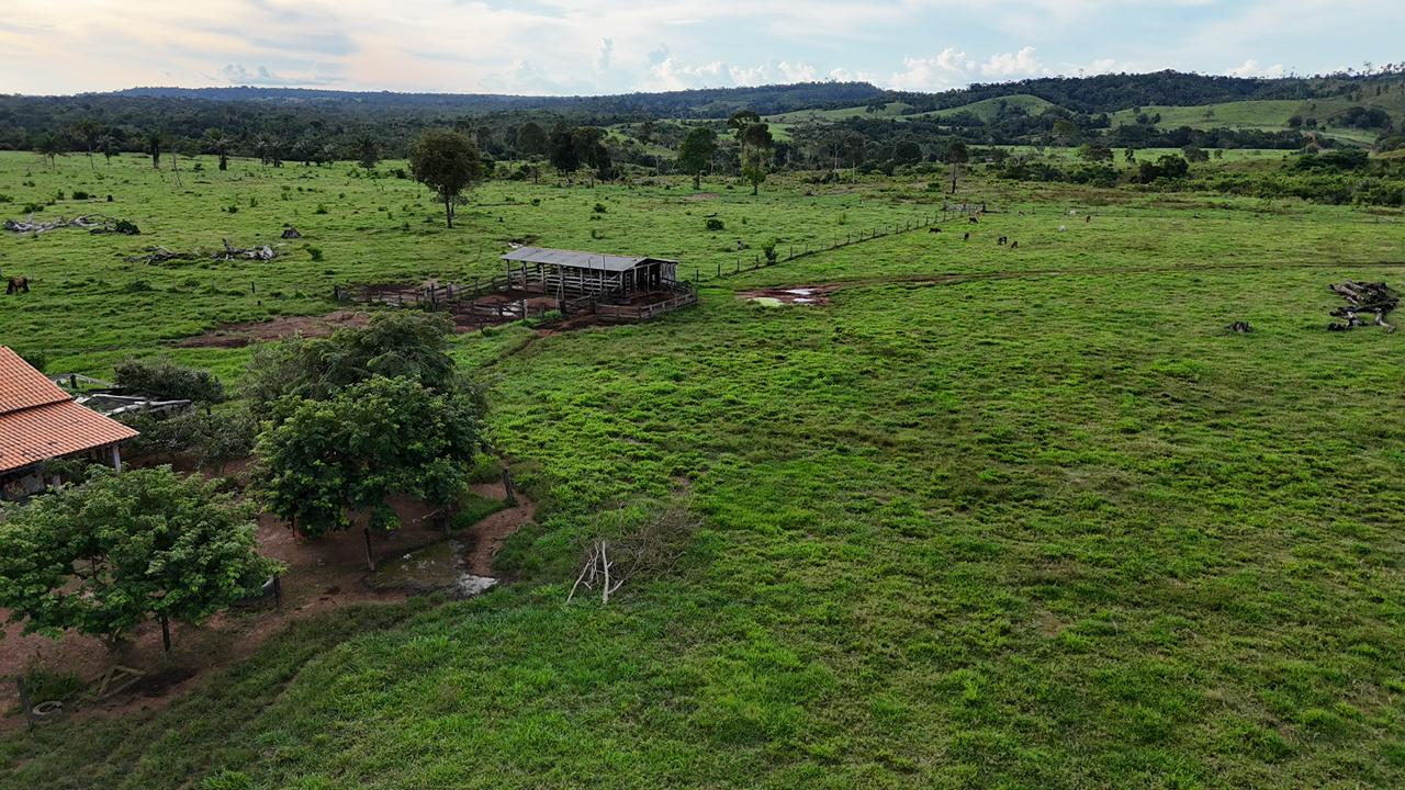 WhatsApp Image 2026-02-18 at 11.22.19 (1)