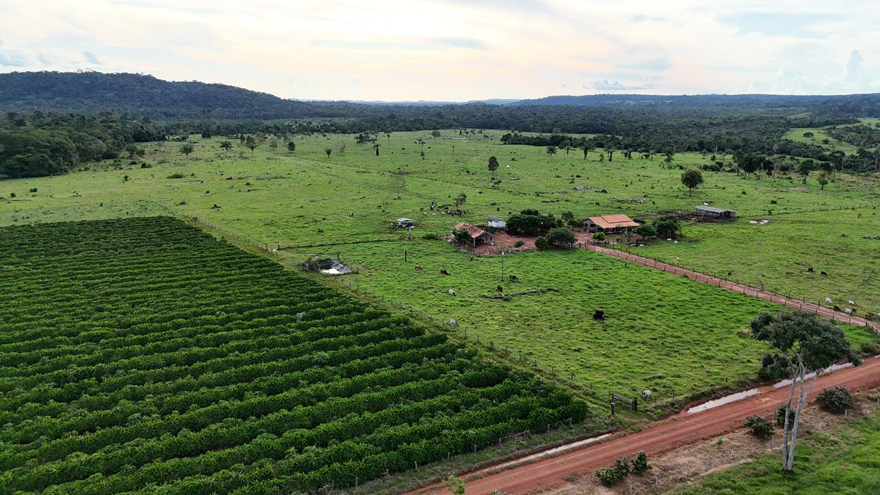 WhatsApp Image 2026-02-18 at 11.22.20 (1)