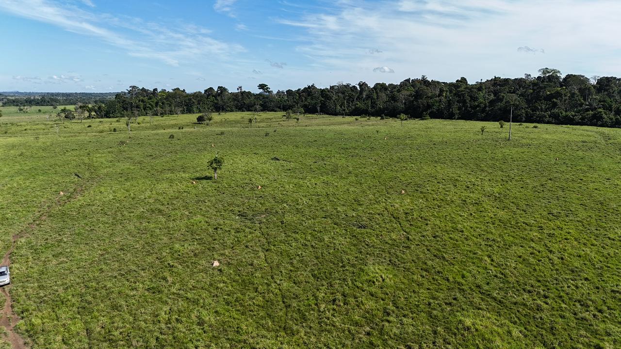 WhatsApp Image 2026-02-18 at 11.22.21 (1)