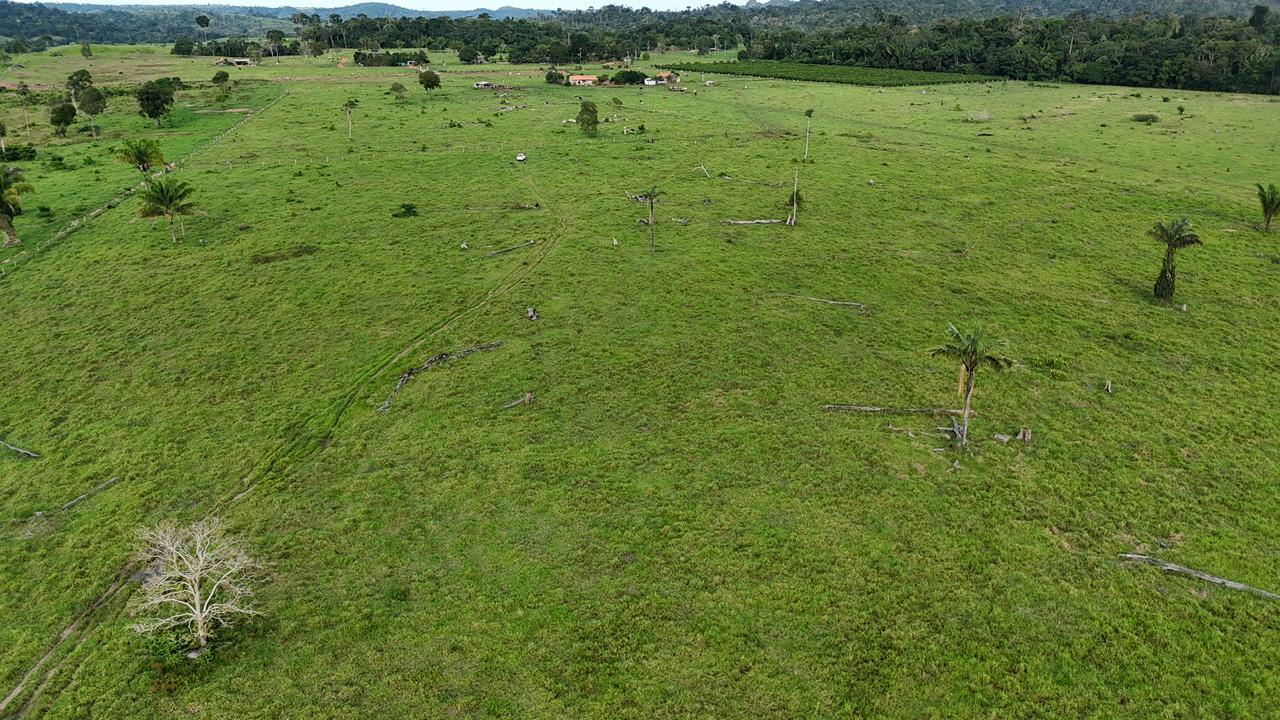 WhatsApp Image 2026-02-18 at 11.22.21 (3)