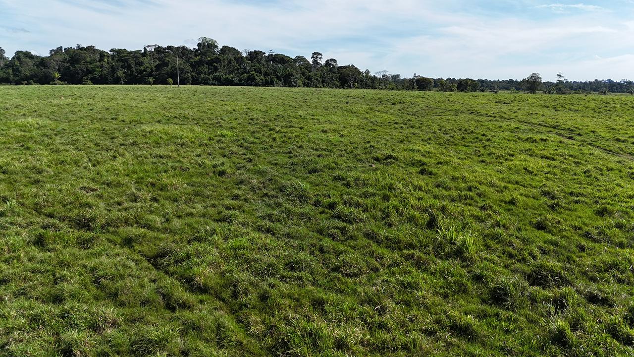 WhatsApp Image 2026-02-18 at 11.22.21 (5)