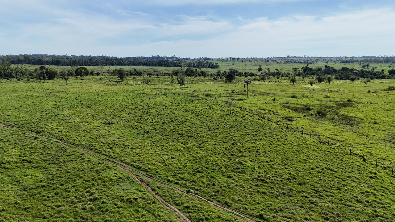 WhatsApp Image 2026-02-18 at 11.22.23 (1)