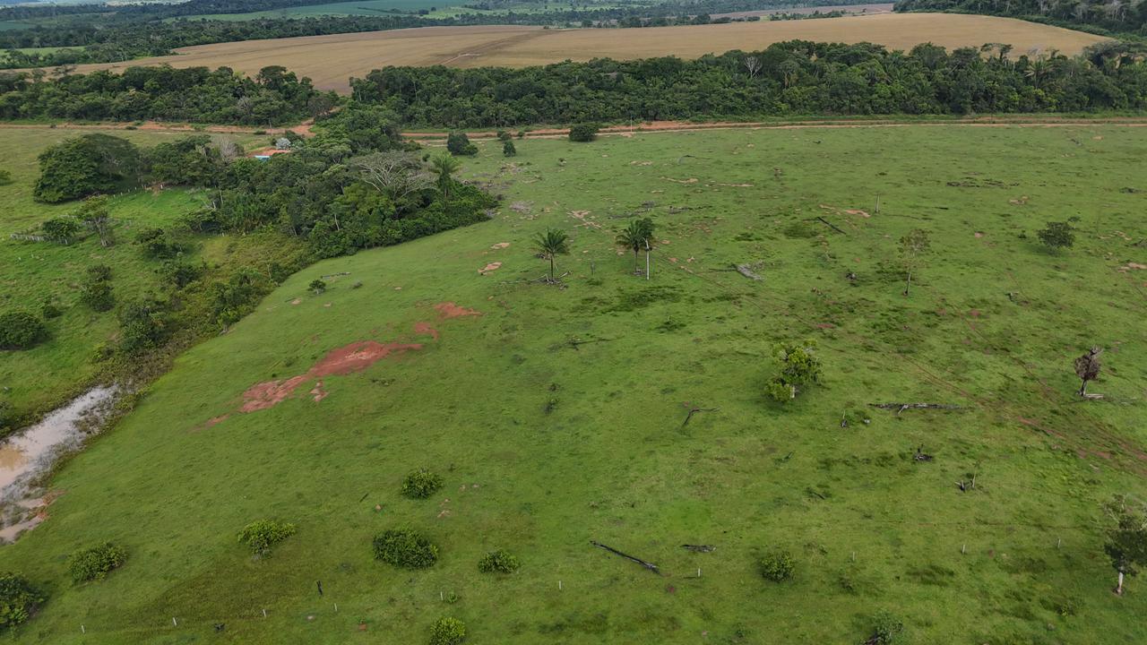 WhatsApp Image 2026-02-19 at 14.10.46