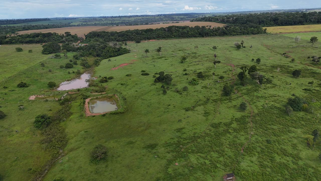 WhatsApp Image 2026-02-19 at 14.10.47 (1)