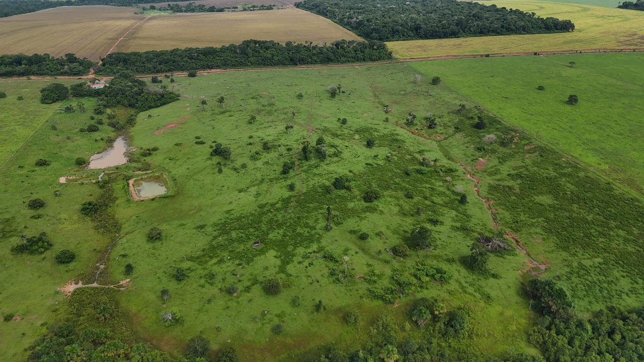 WhatsApp Image 2026-02-19 at 14.10.47 (2)