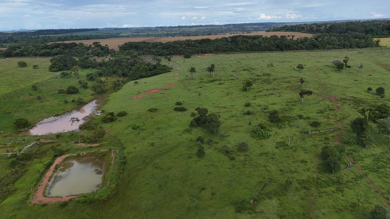 WhatsApp Image 2026-02-19 at 14.10.47