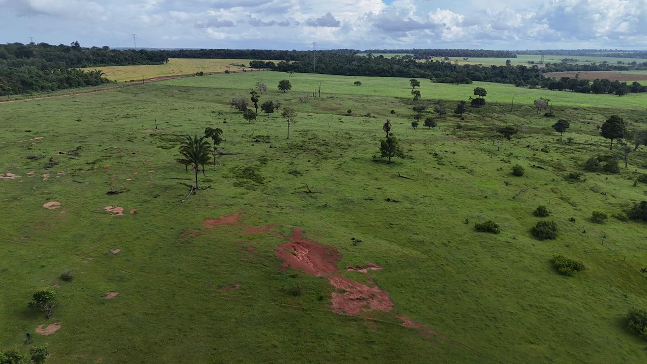 WhatsApp Image 2026-02-19 at 14.10.48 (1)