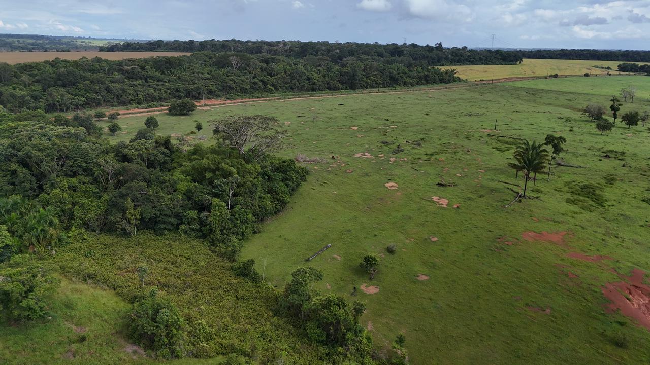 WhatsApp Image 2026-02-19 at 14.10.48