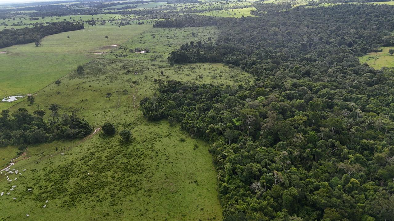 WhatsApp Image 2026-02-19 at 14.10.49 (1)