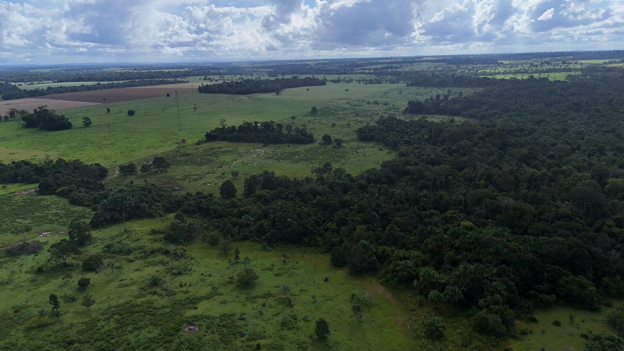 WhatsApp Image 2026-02-19 at 14.10.49 (2)