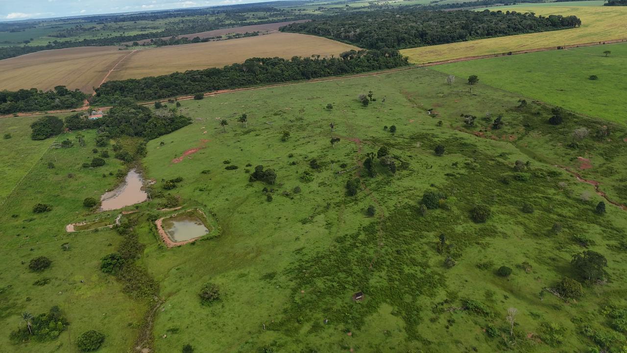 WhatsApp Image 2026-02-19 at 14.10.49 (3)