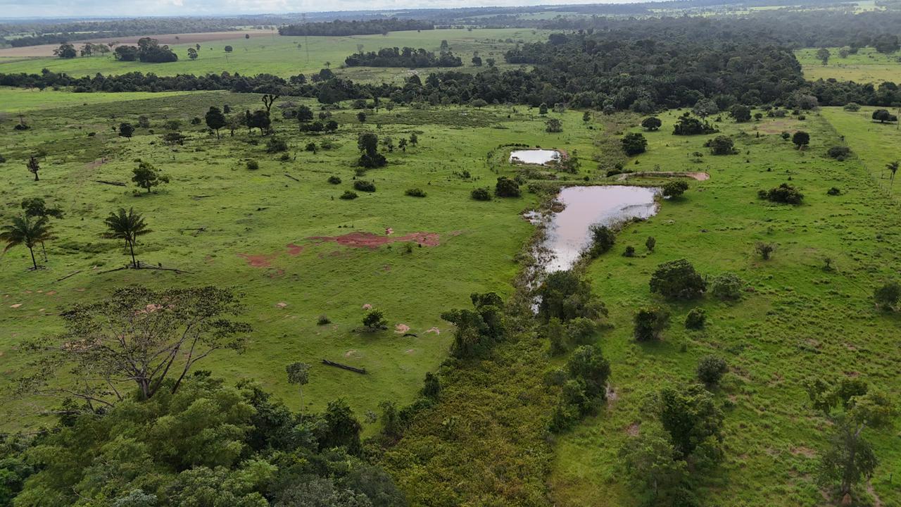 WhatsApp Image 2026-02-19 at 14.10.49