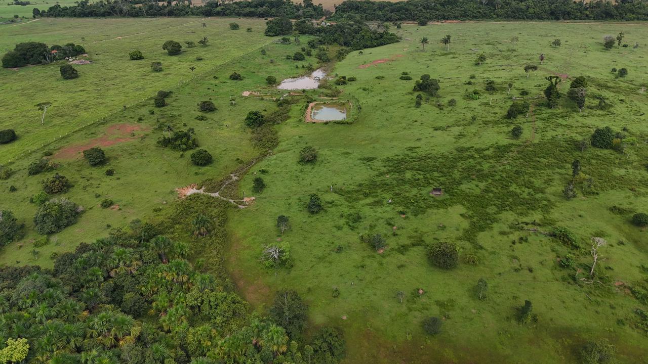 WhatsApp Image 2026-02-19 at 14.10.50 (1)