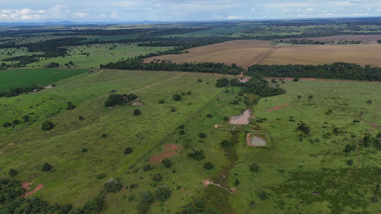 WhatsApp Image 2026-02-19 at 14.10.50