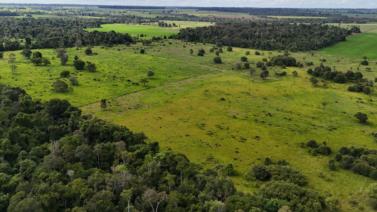 WhatsApp Image 2026-02-19 at 14.10.51 (1)