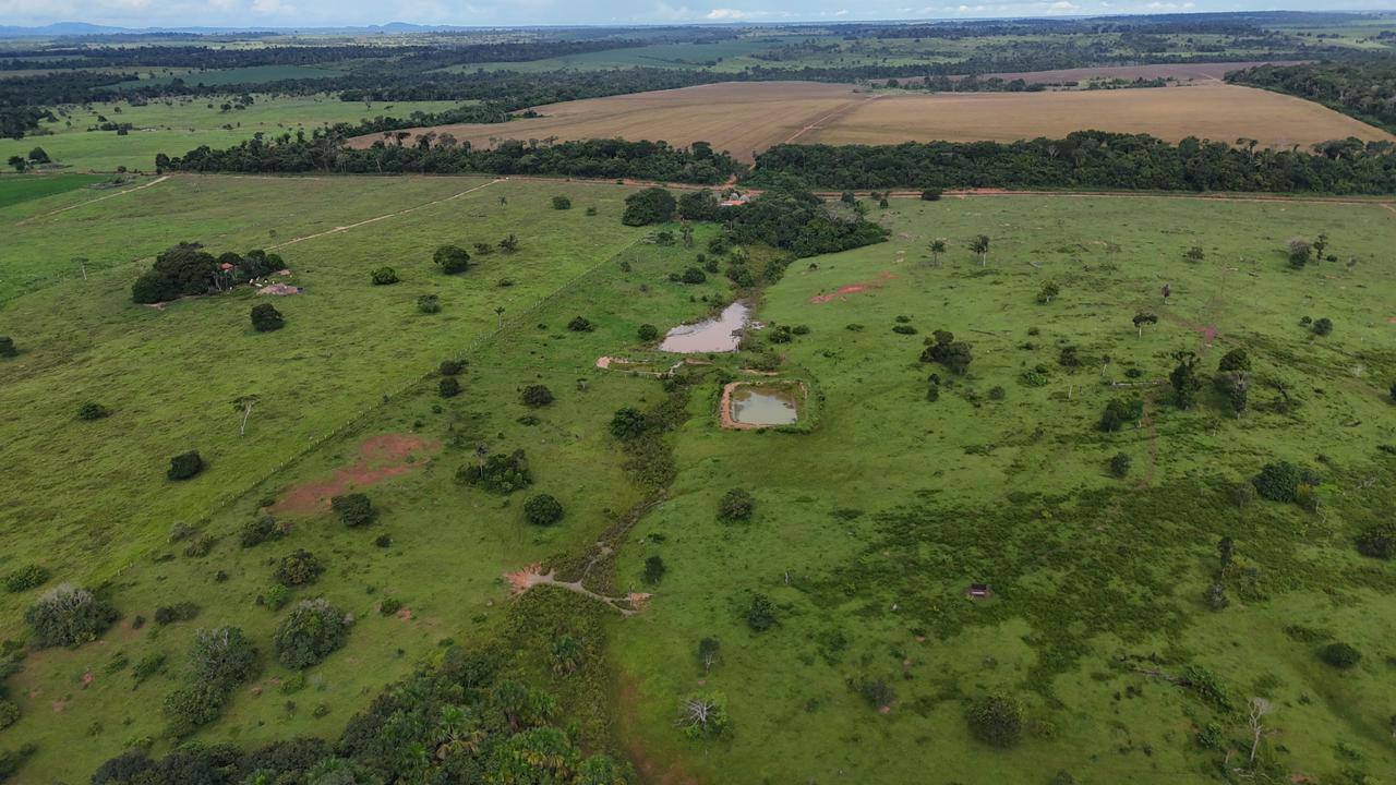 WhatsApp Image 2026-02-19 at 14.10.51