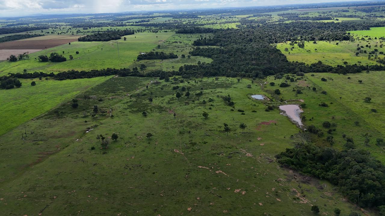 WhatsApp Image 2026-02-19 at 14.10.52 (1)