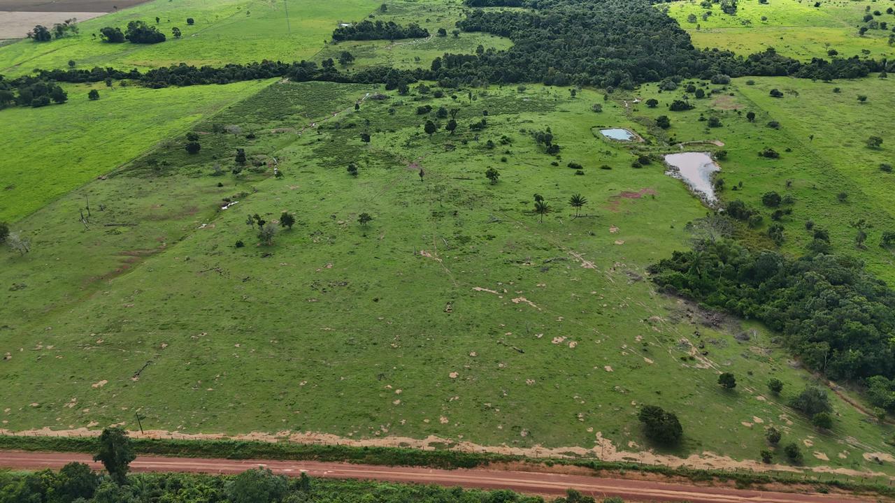 WhatsApp Image 2026-02-19 at 14.10.52