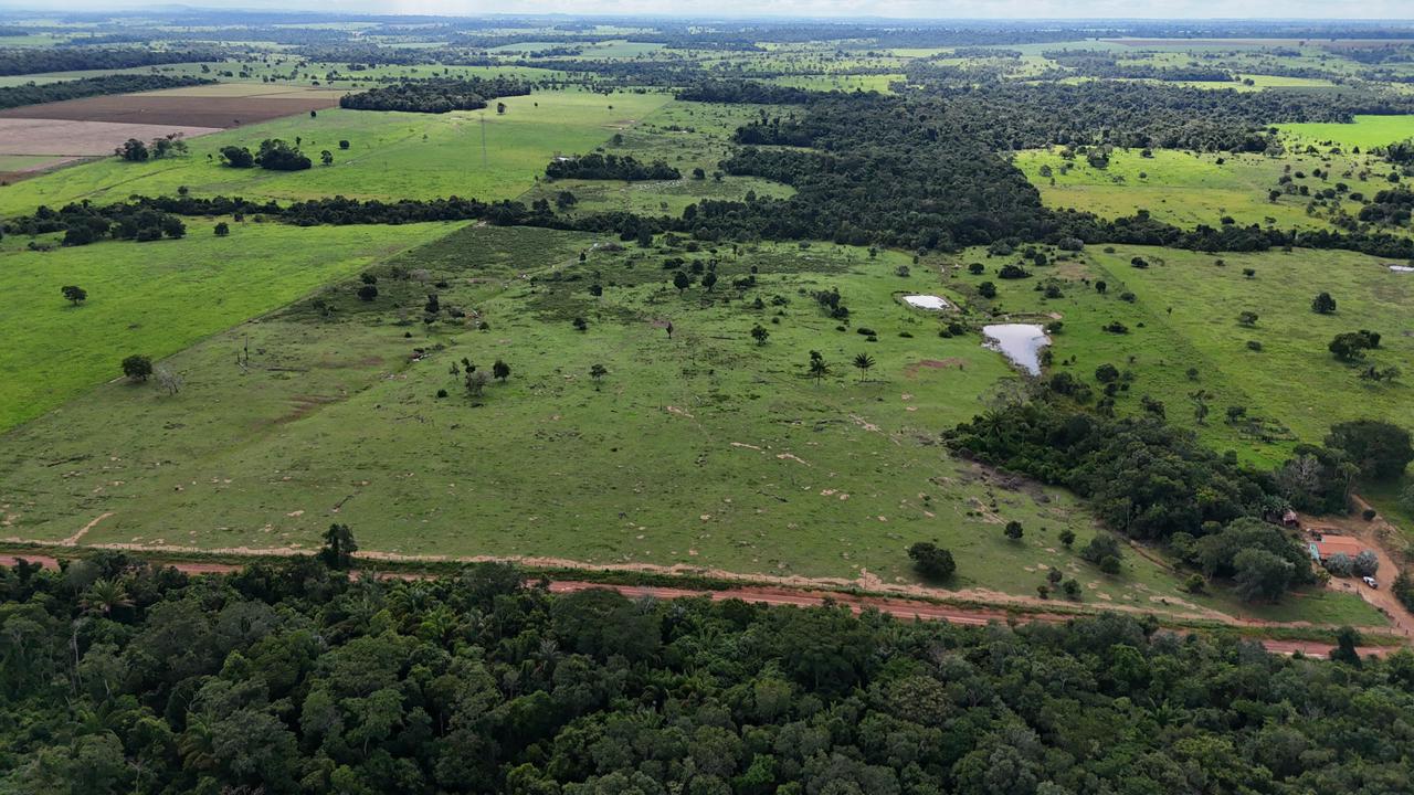 WhatsApp Image 2026-02-19 at 14.10.53