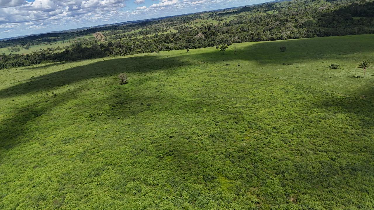 WhatsApp Image 2026-02-19 at 14.29.03 (3)