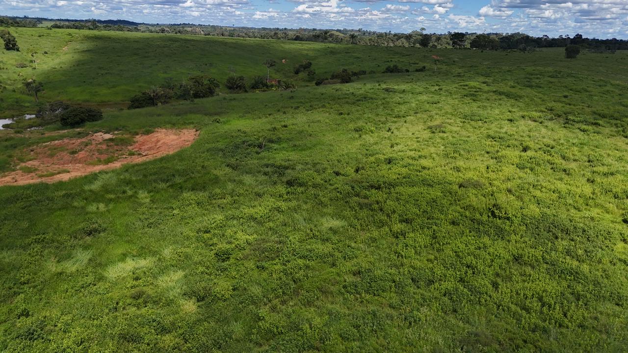 WhatsApp Image 2026-02-19 at 14.29.04 (1)