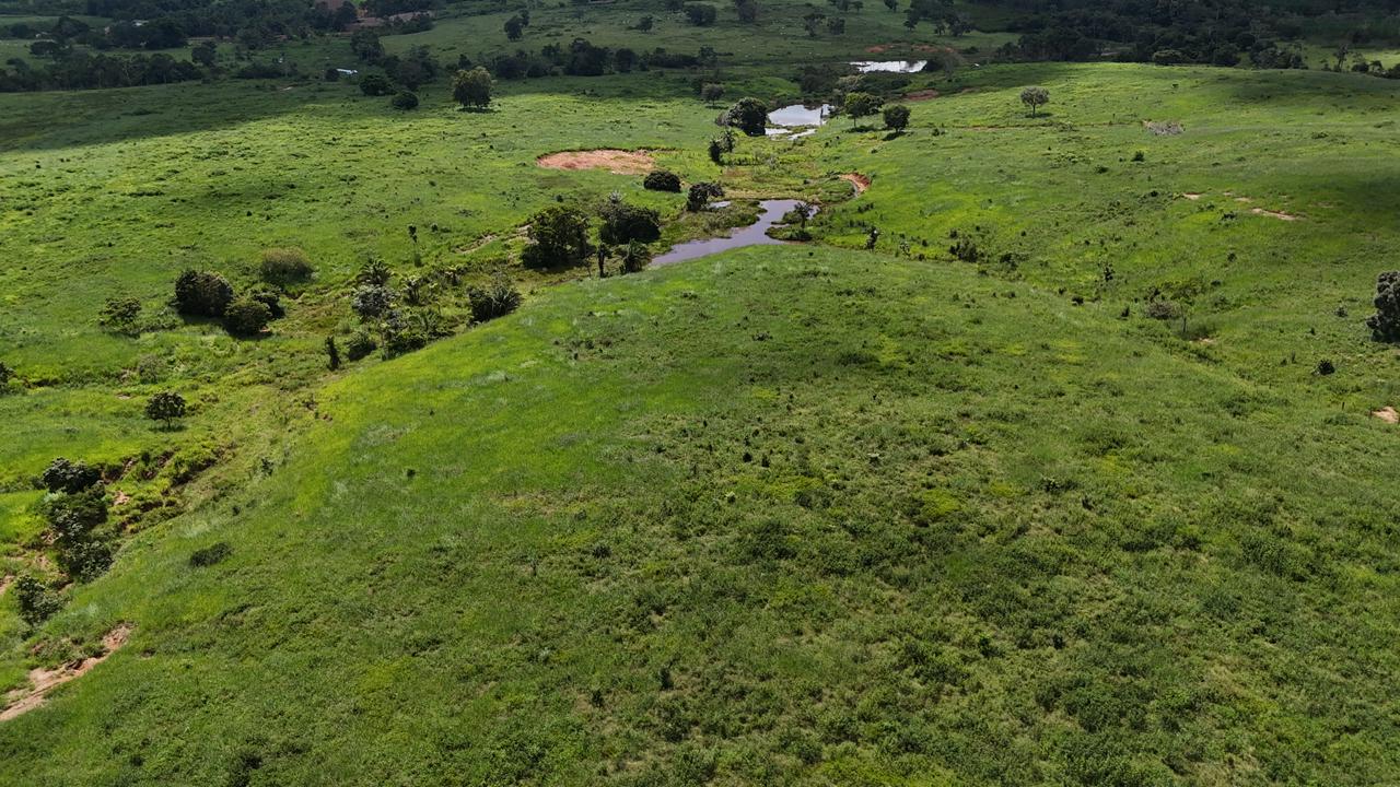 WhatsApp Image 2026-02-19 at 14.29.04 (2)